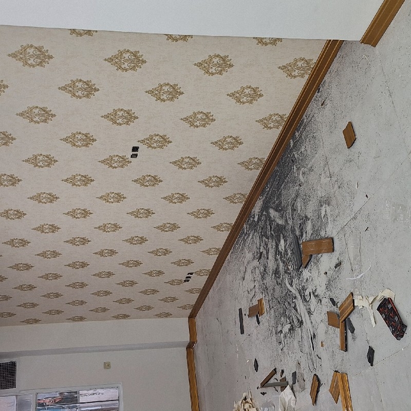 نقاشی ساختمان کاغذ دیواری