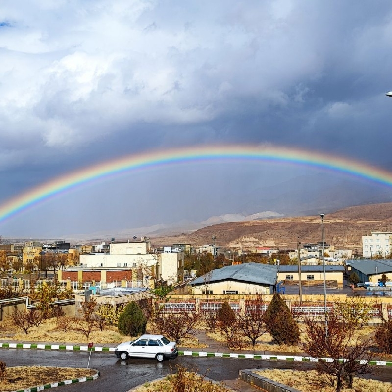 سیمانکاری و تیغه چینی