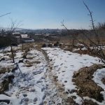 زمین ۱۰۰۰متری آبسرد با بنای قدیمی