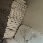 یونولیت
