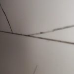 کاشیکاری و سرامیک اسب