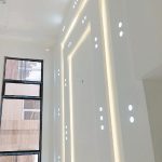خدمات رنگ فونیکس