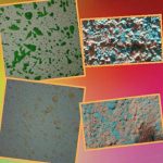 نقاشی ساختمان