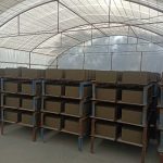 بلوک سبک لیکا پوکه ای