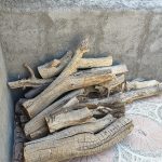 فروش تنه خشک درخت توت