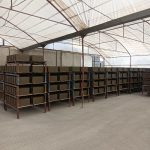 بلوک سبک لیکا پوکه ای