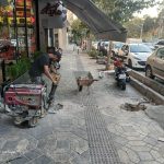 اجاره اداوات کارگاهیی به همراه کارگر