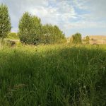 زمین کشاورزی جهت کشت پیاز برنج یا سیز