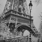 نصاب کاغذ دیواری و پوستری سه بعدی