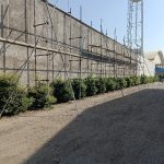 داربست فلزی (آلفا)