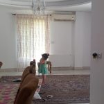 ویلا با امکانات فول